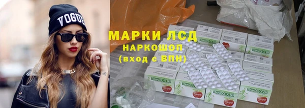 индика Баксан