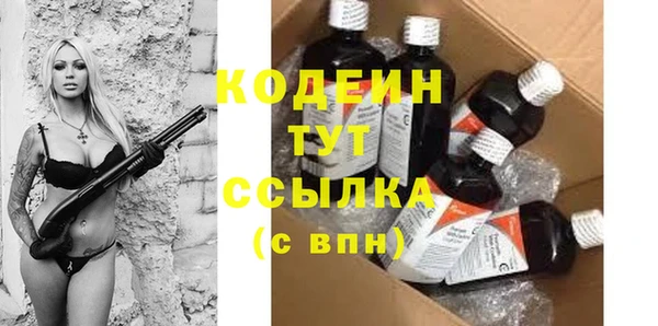 индика Баксан