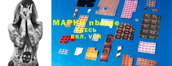 индика Баксан