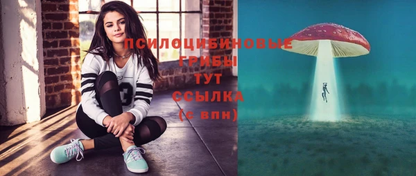 трава Нягань
